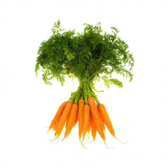 Морковь с Ботвой
