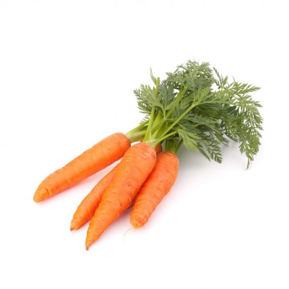 Морковь Молодая